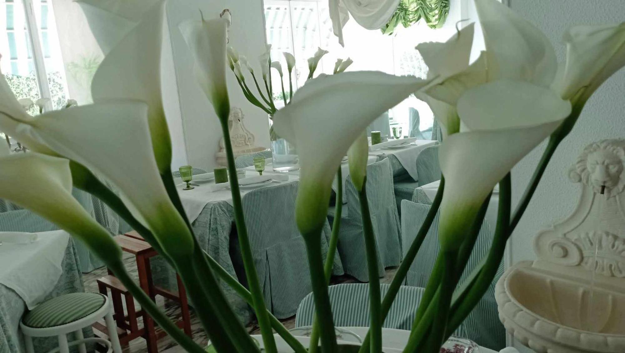 Eveline Portosole Hotel Sanremo Eksteriør billede